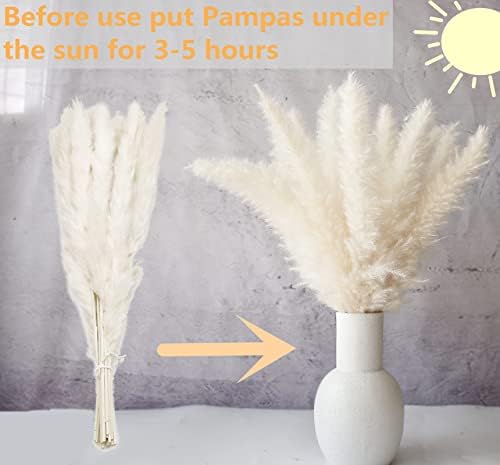 110 PCS Dried Pampas Grass Bouquet, Boho Table Decor, Bunny Tails Dried Flowers - Image 4
