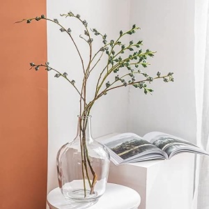 HEWEGO Clear Large Glass Vase,Balloon Glass Jug Vase for Farmhouse