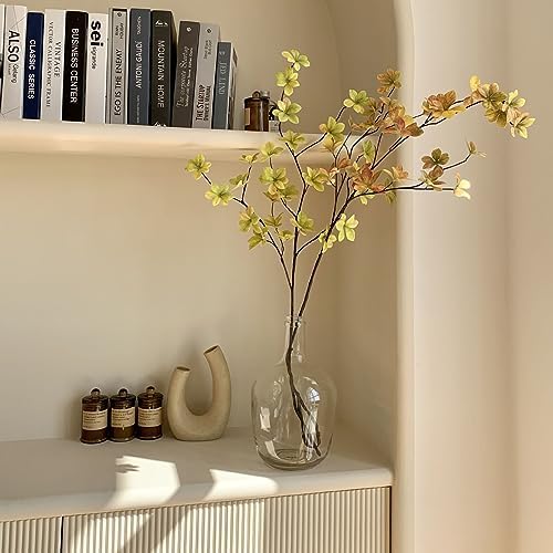 HEWEGO Clear Large Glass Vase,Balloon Glass Jug Vase for Farmhouse - Image 6