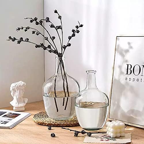 HEWEGO Clear Large Glass Vase,Balloon Glass Jug Vase for Farmhouse - Image 4