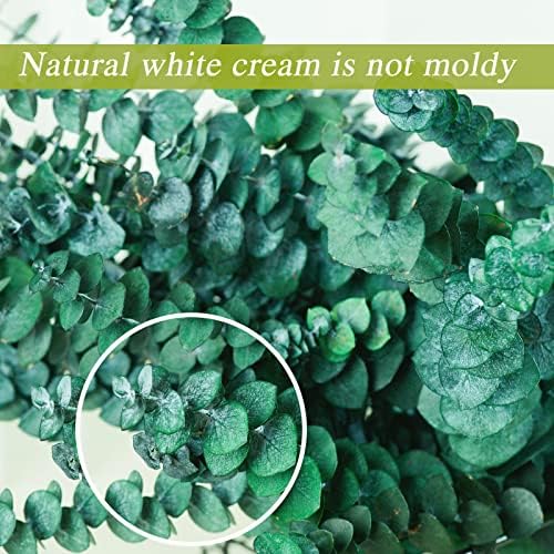 20 Pcs Preserved Dried Eucalyptus Stems, 17" Natural Fresh Eucalyptus Bundles - Image 7