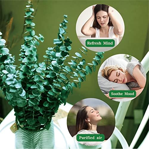 20 Pcs Preserved Dried Eucalyptus Stems, 17" Natural Fresh Eucalyptus Bundles - Image 2