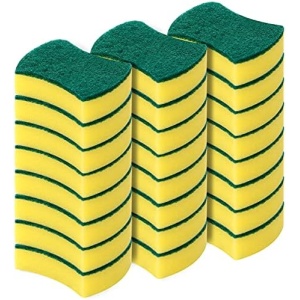 Sponge with Holder (24 Pack)