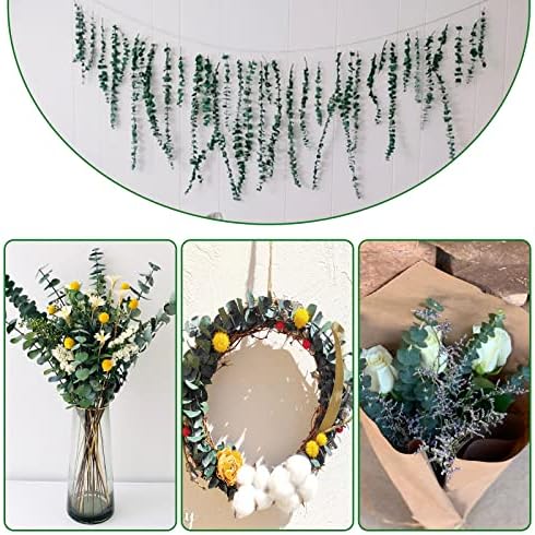 20 Pcs Preserved Dried Eucalyptus Stems, 17" Natural Fresh Eucalyptus Bundles - Image 5
