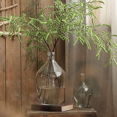 HEWEGO Clear Large Glass Vase,Balloon Glass Jug Vase for Farmhouse - Image 5