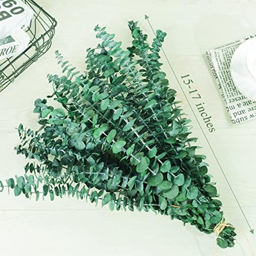 20 Pcs Preserved Dried Eucalyptus Stems, 17" Natural Fresh Eucalyptus Bundles - Image 8